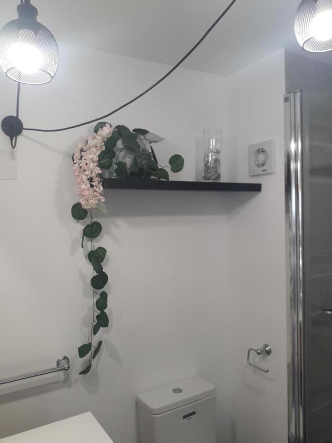 Apartamento Rex Бенидорм Екстериор снимка